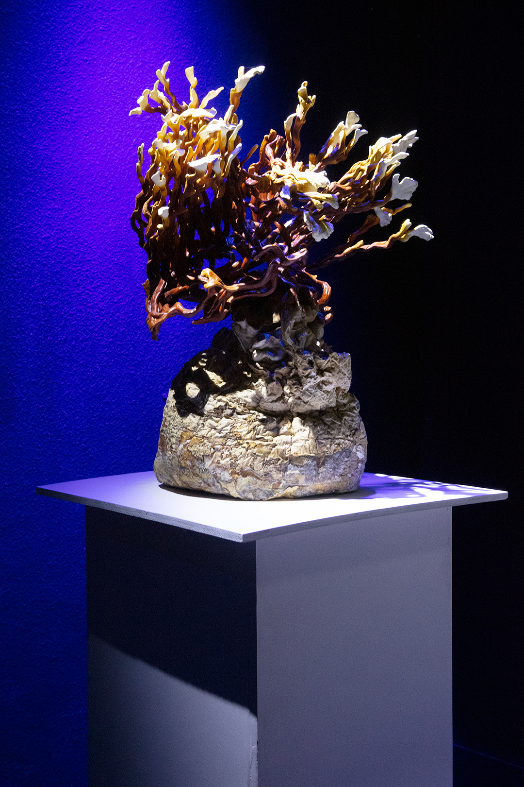 Detail of a reishi mushroom specemin under a bright spotlight